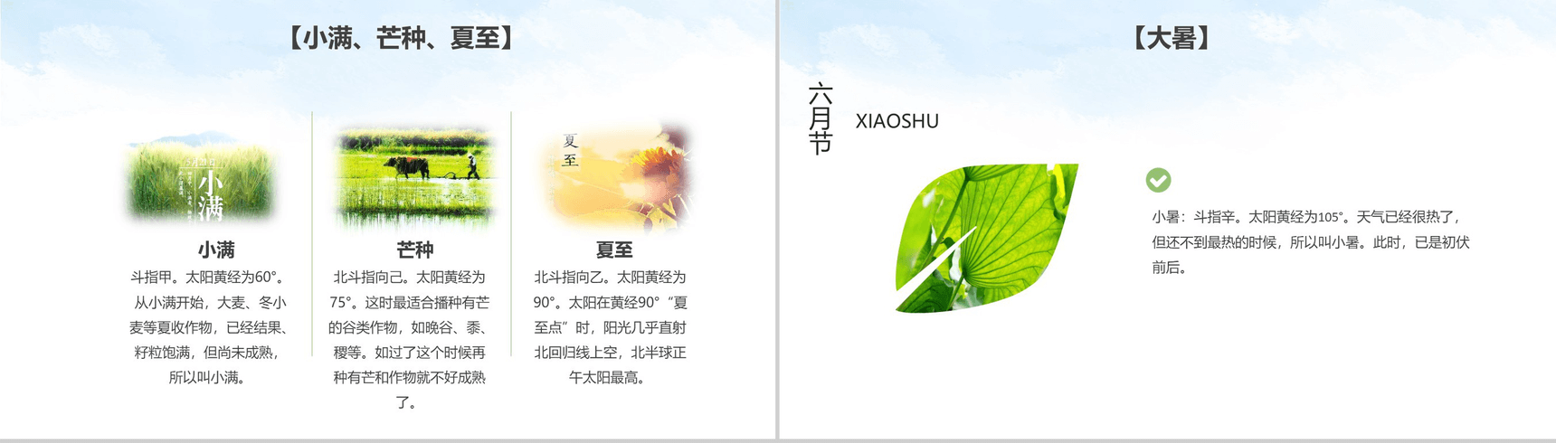 绿色简约大气二十四节气介绍主题班会PPT模板-6
