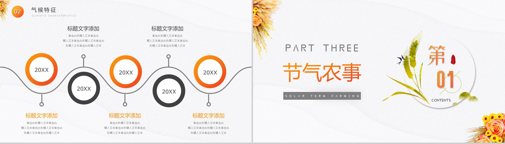 白色简约风格中国传统二十四节气芒种简介PPT模板-6