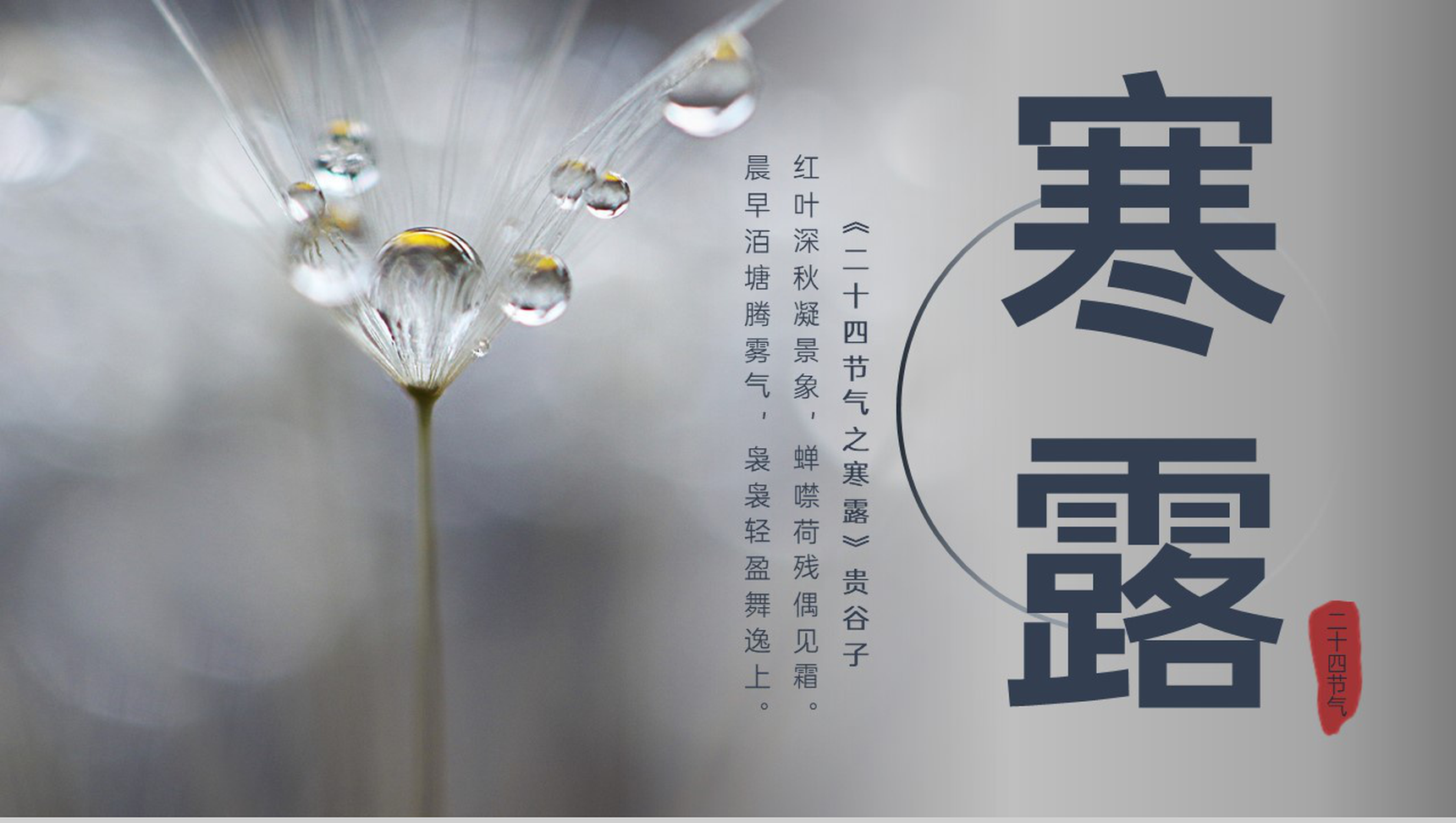 灰色创意简约风二十四节气寒露历史渊源介绍PPT模板-1