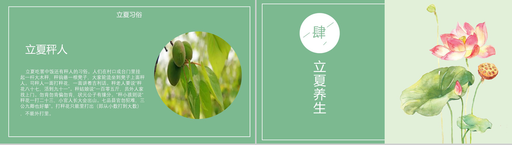 清新荷花绽放二十四节气立夏PPT模板-8