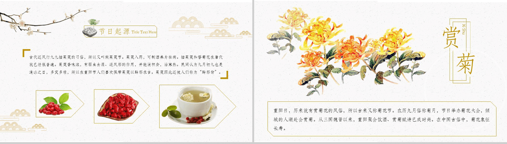 绿色清新九九重阳节民族风俗节日介绍PPT模板-6