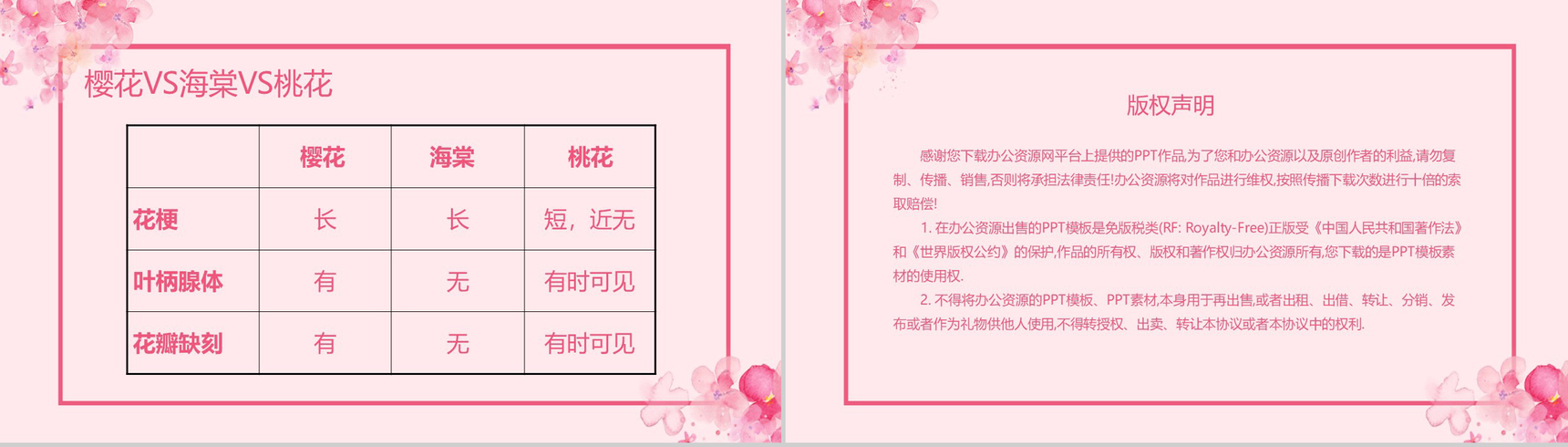 粉色唯美清新浪漫樱花节PPT模板-5