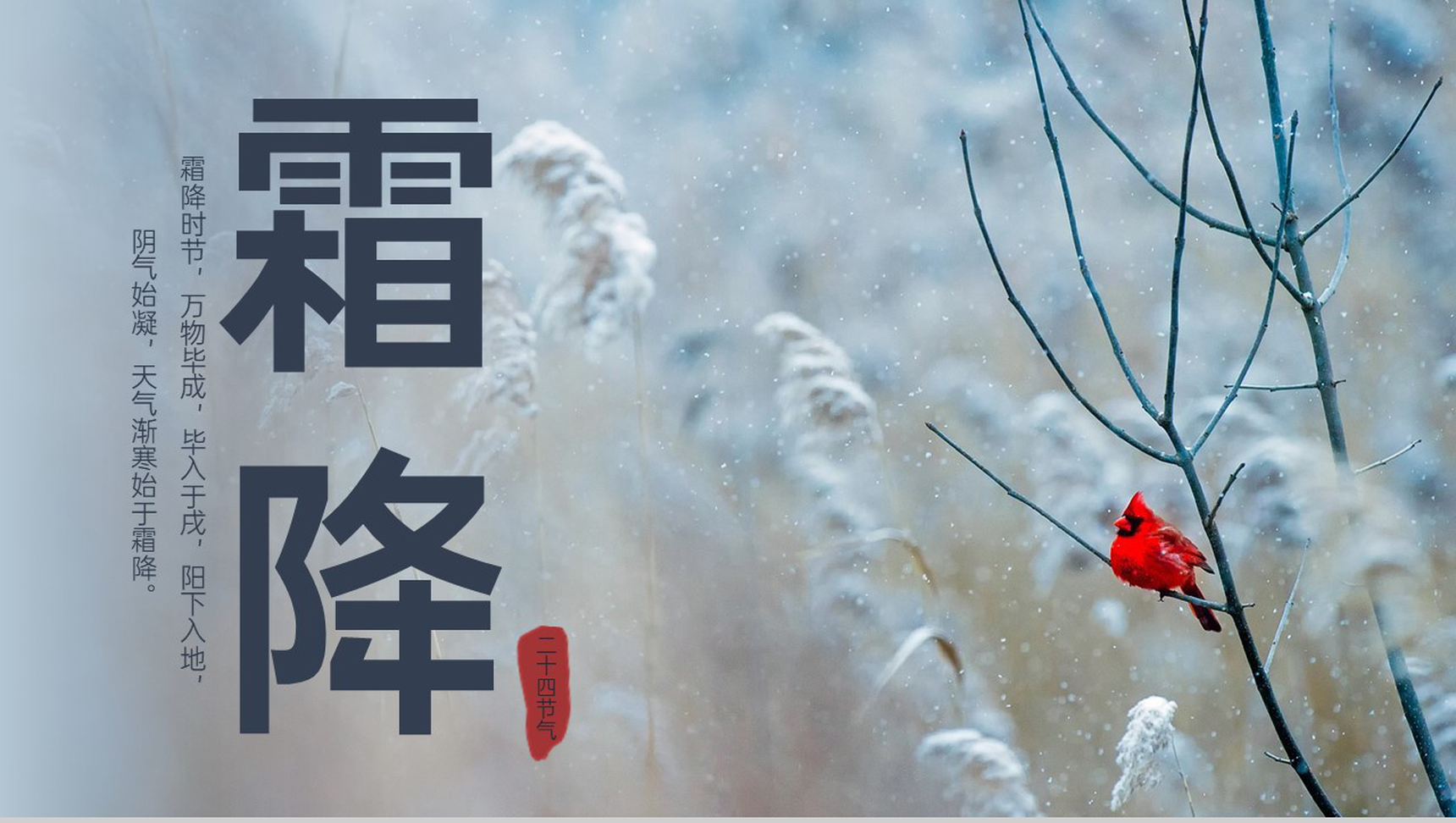 浅蓝简约风二十四节气之霜降气候特征介绍PPT模板-1