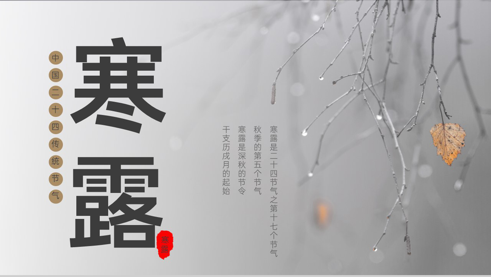 灰色简约中国风二十四节气寒露节气文化介绍PPT模板-1
