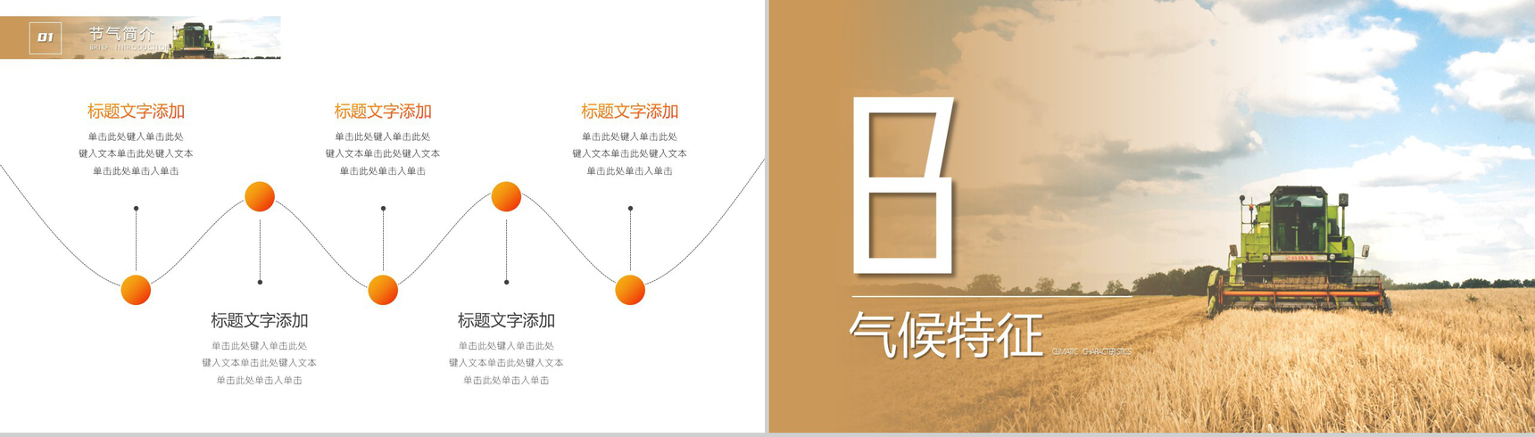 简约风格传统二十四节气芒种介绍PPT模板-4