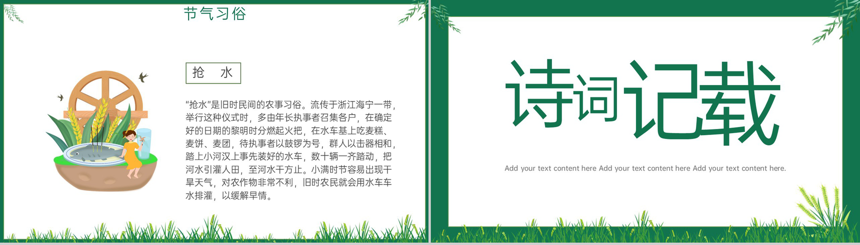 绿色简约风小满麦粒渐满二十四节气小满介绍PPT模板-9