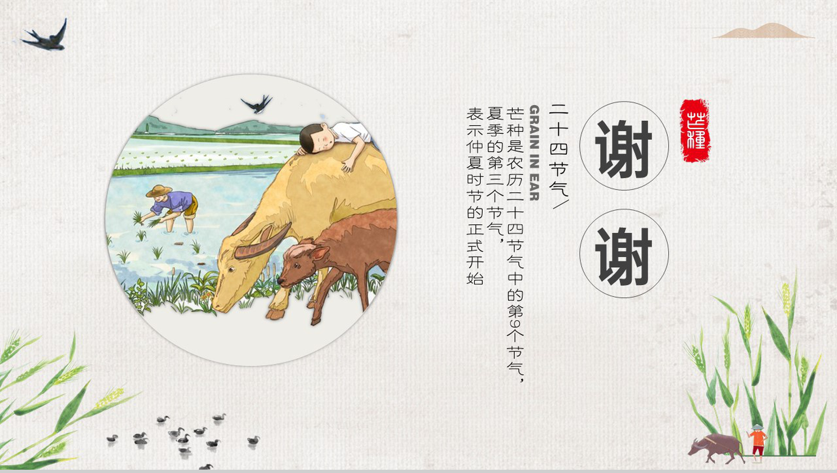 灰绿中国风传统二十四节气芒种主题汇报总结PPT模板-9