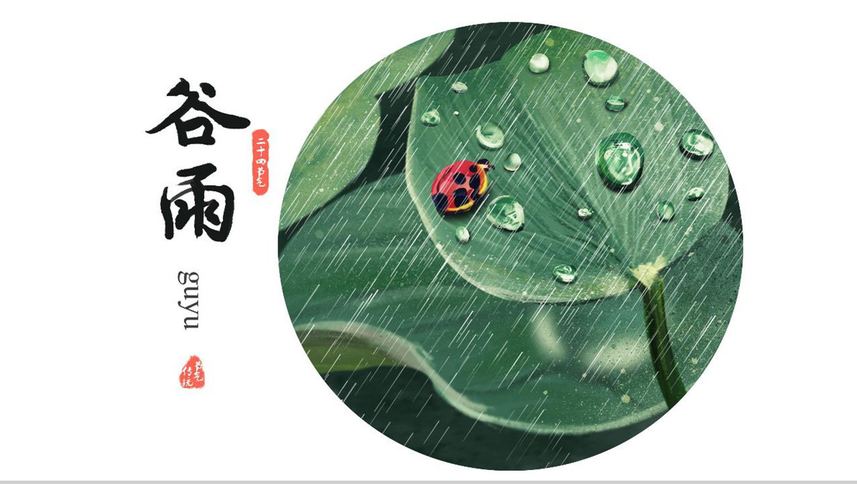 清新简洁动态二十四节气谷雨PPT模板-1