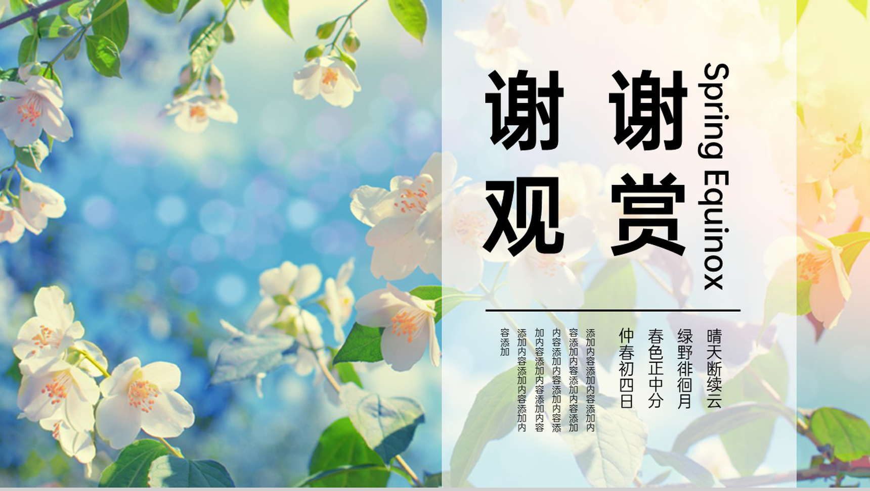 绿色小清新二十四节气春分主题活动策划方案PPT模板-11