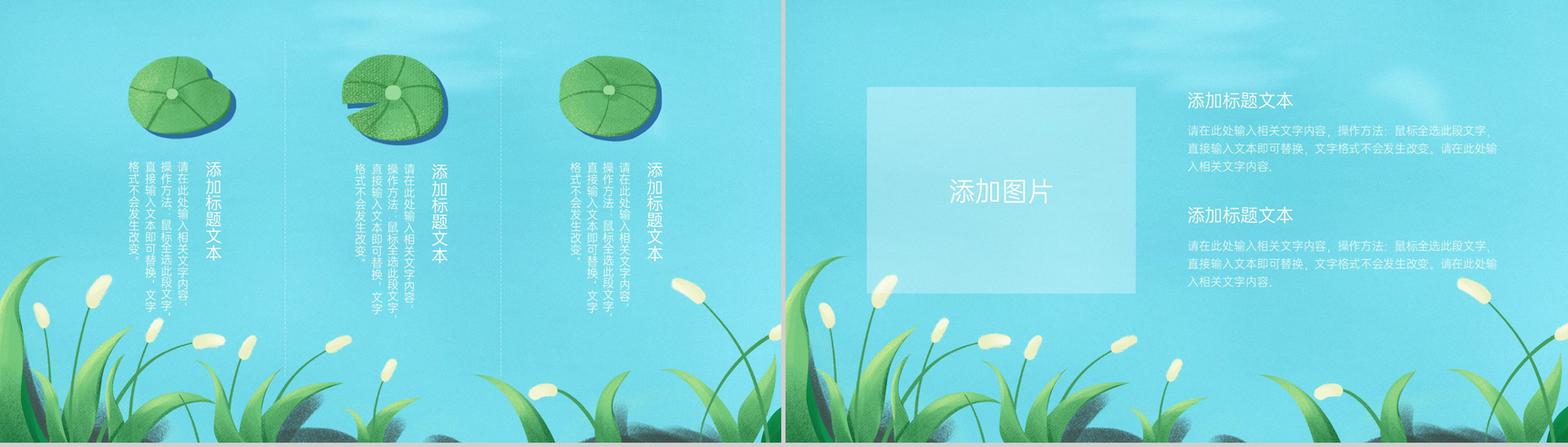 绿色清新二十四节气立夏介绍科普荷叶主题PPT模板-3