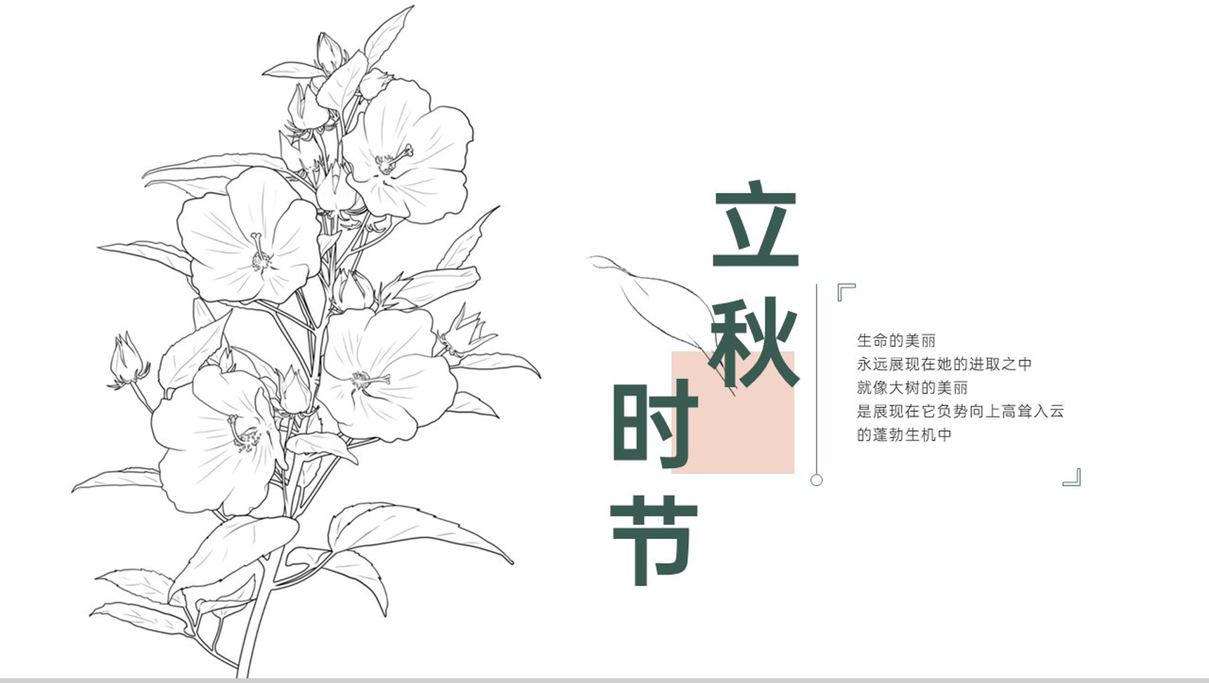 白色清新风传统二十四节气立秋时节主题工作总结PPT模板-1