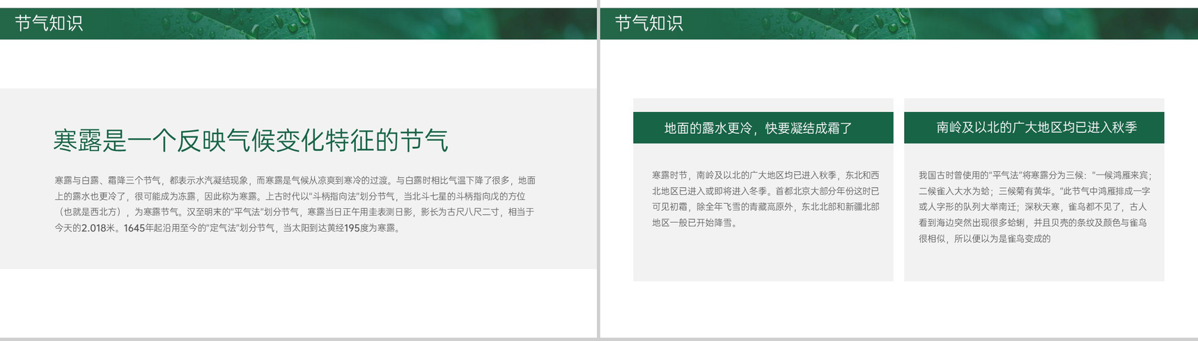绿色简约小清新风二十四节气介绍之寒露的由来PPT模板-4