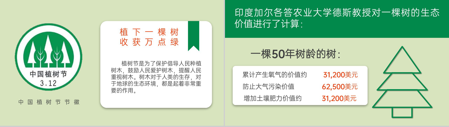 绿色自然系植树节主题活动公益宣传教育PPT模板-5