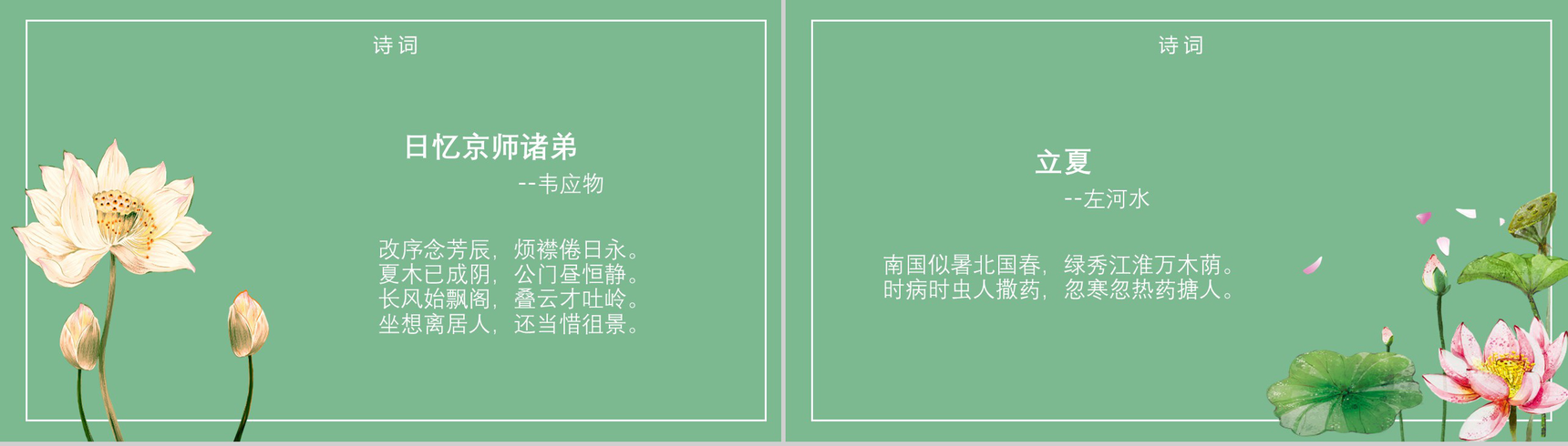 清新荷花绽放二十四节气立夏PPT模板-11