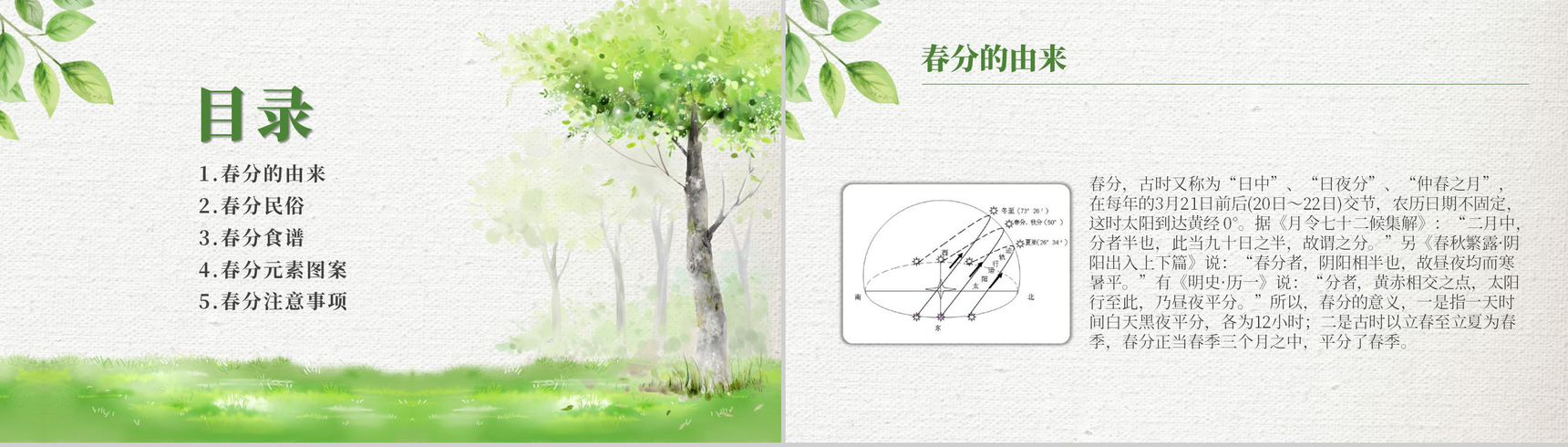 绿色清新简约春分节气材料收集PPT模板-2