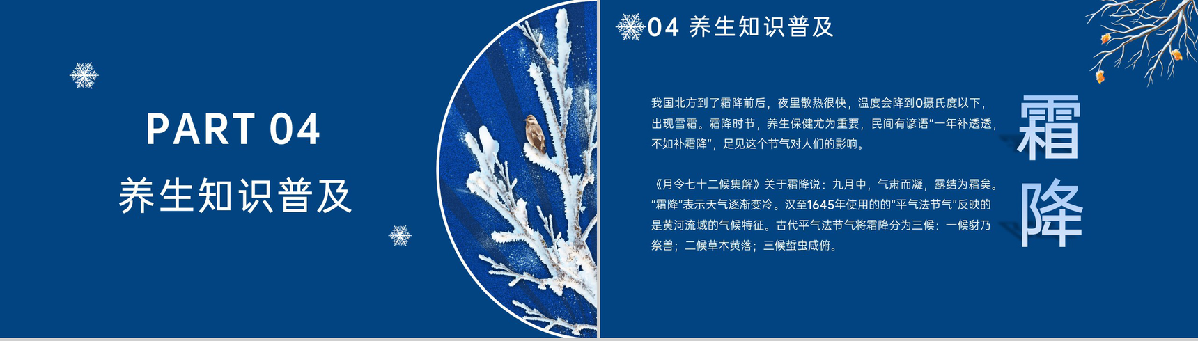 蓝色简约风传统节气霜降养生知识普及PPT模板-7