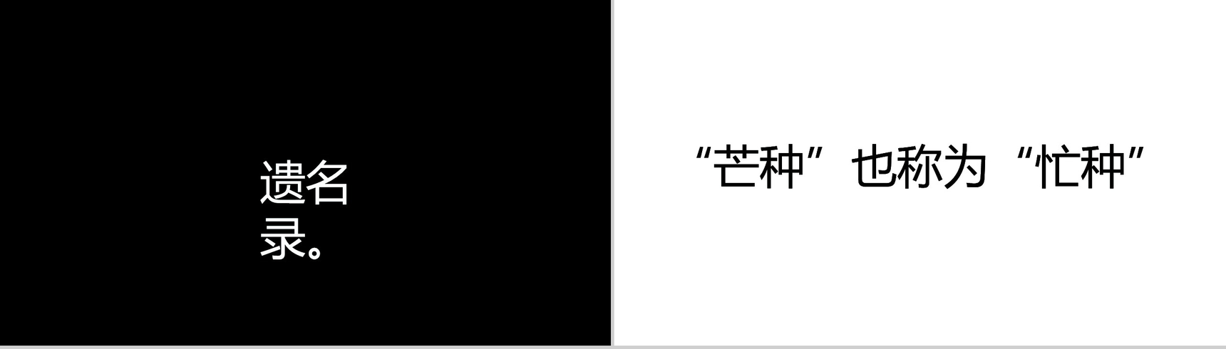 个性简约抖音快闪二十四节气芒种介绍PPT模板-16