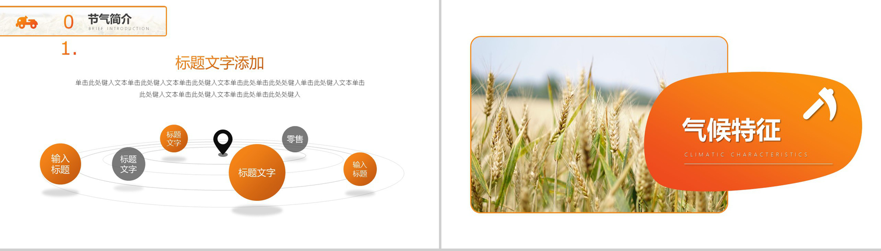 橙色简约中国二十节气芒种节日农忙时PPT模板-4
