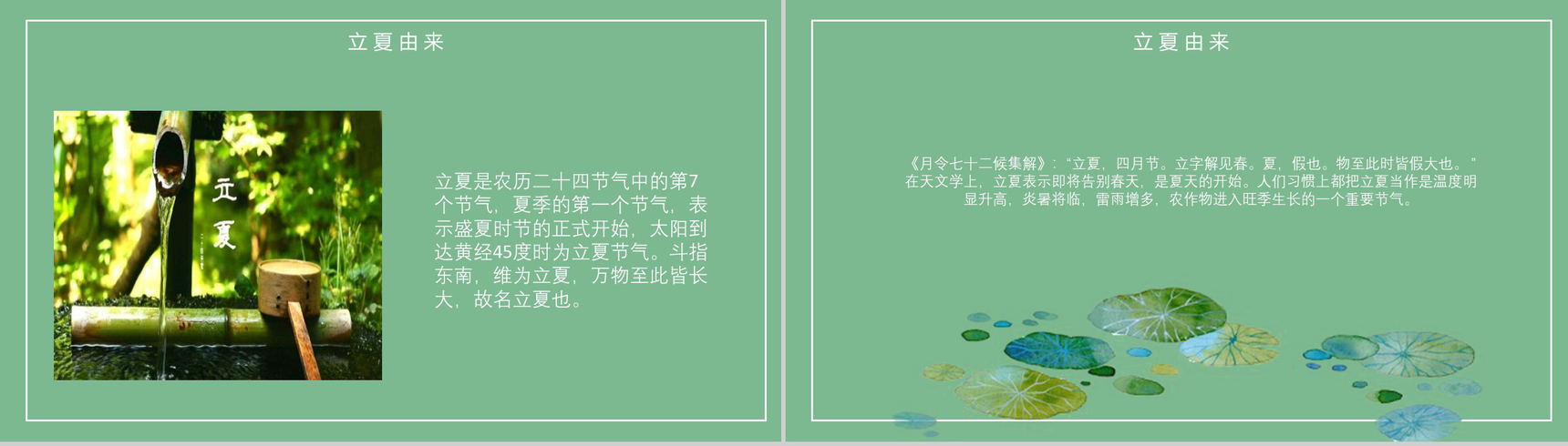 清新荷花绽放二十四节气立夏PPT模板-3