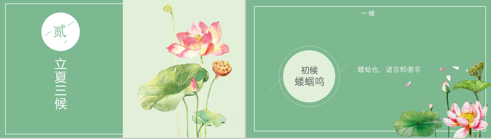 清新荷花绽放二十四节气立夏PPT模板-4