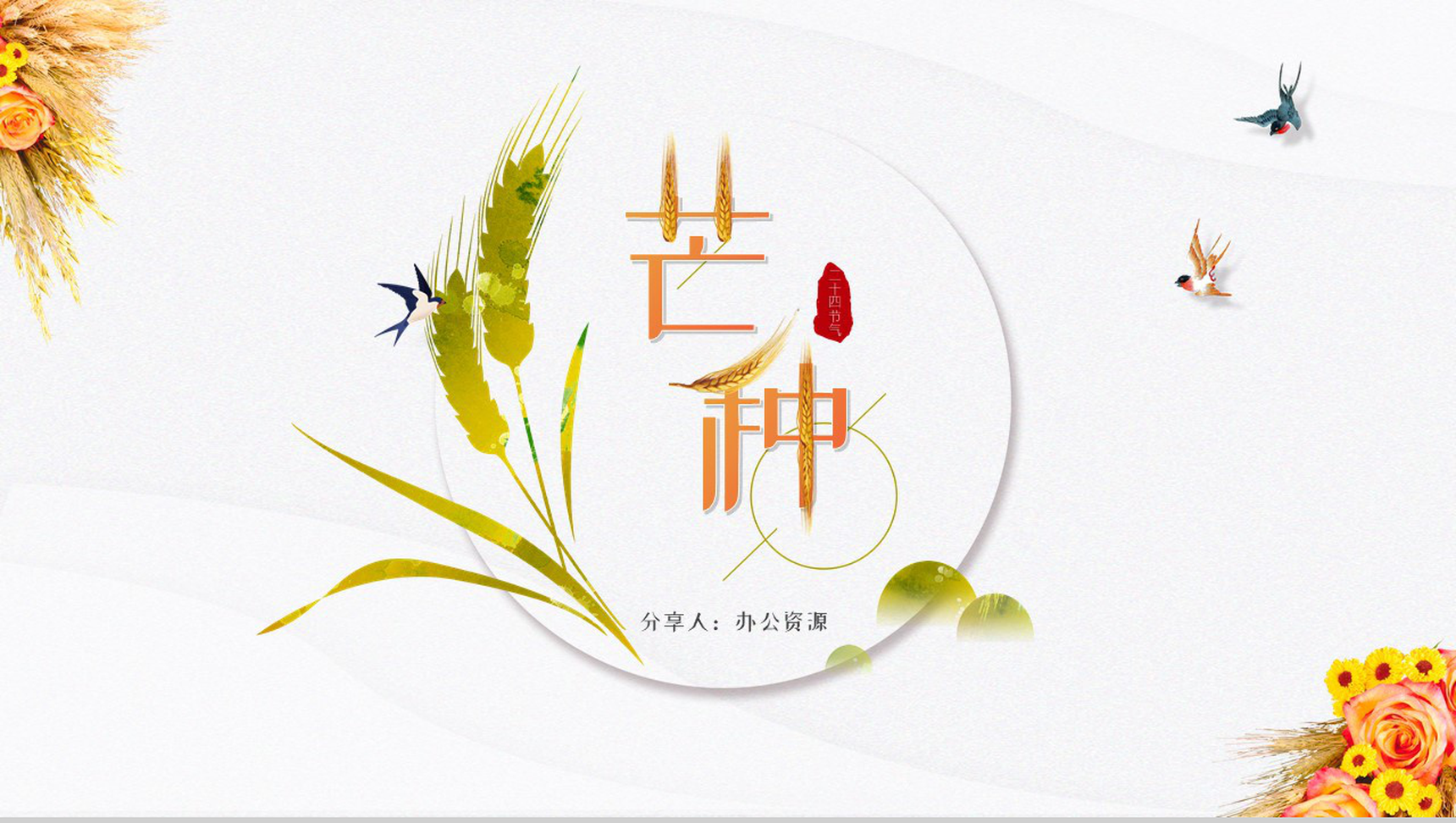 白色简约风格中国传统二十四节气芒种简介PPT模板-1