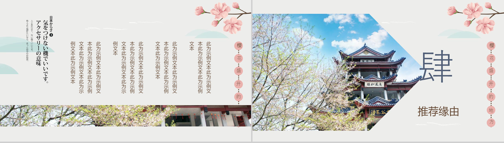 樱花节日本赏樱之旅策划方案PPT模板-11
