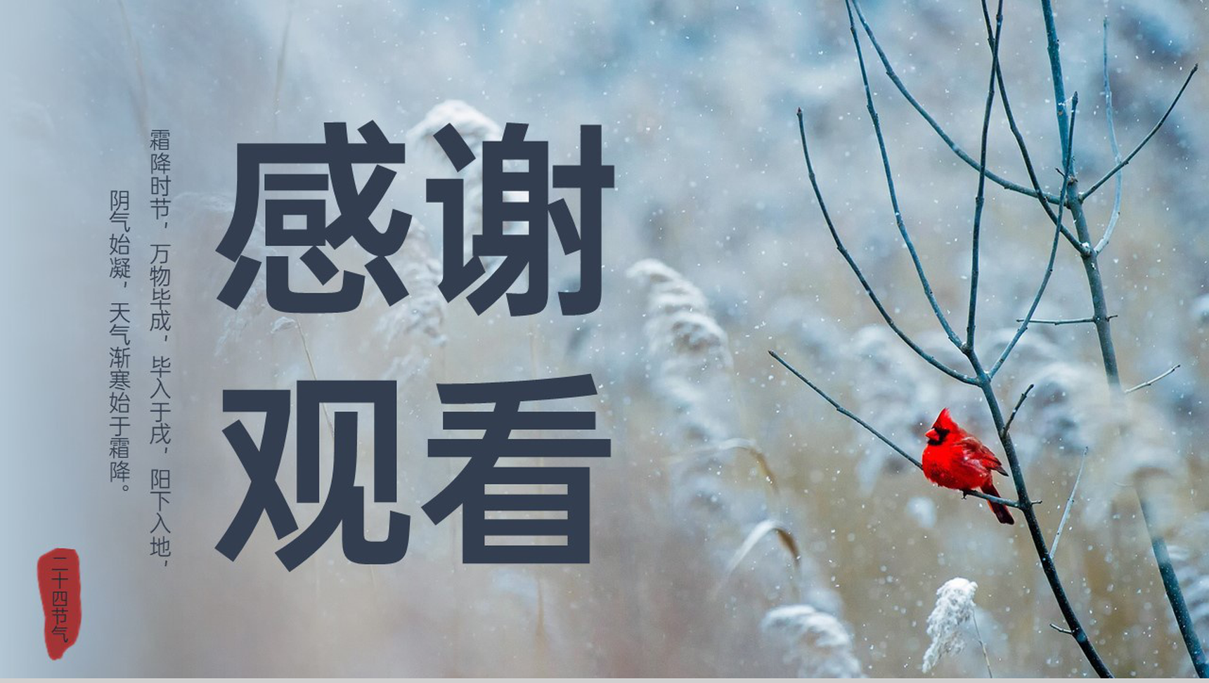 浅蓝简约风二十四节气之霜降气候特征介绍PPT模板-9