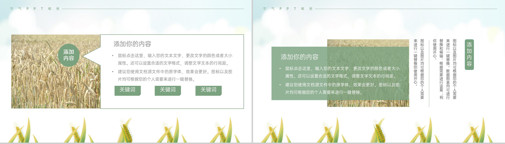 浅绿色简约风麦穗收获二十四节气夏至介绍由来PPT模板-3