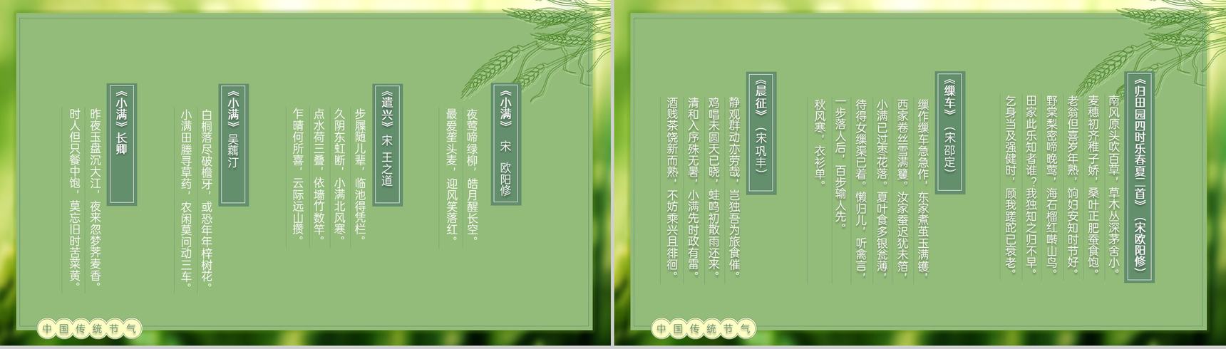 绿色自然风二十四节气小满由来习俗介绍PPT模板-9