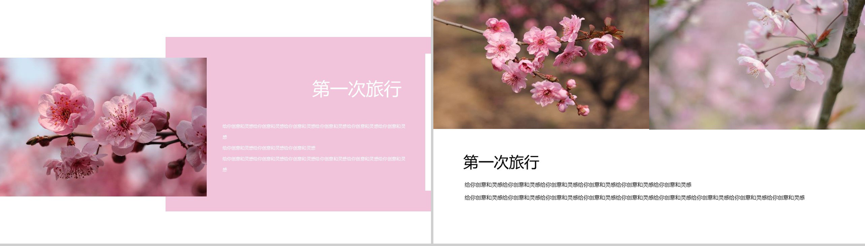 樱花节大型活动策划方案PPT模板-3