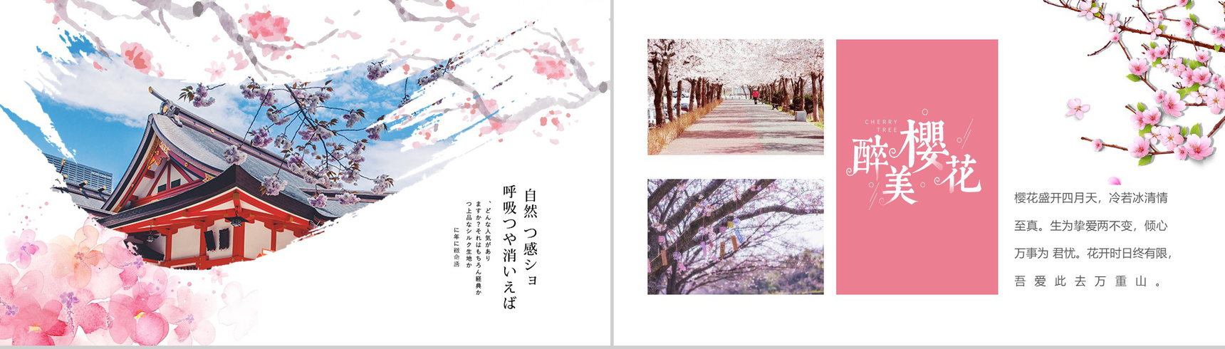 与最爱的人一起享受浪漫美丽樱花活动策划PPT模板-5