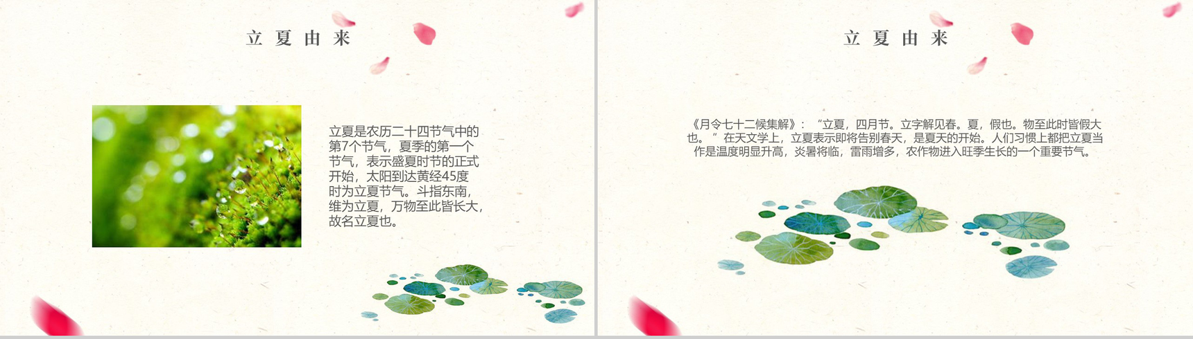唯美简约小清新设计元素二十四节气立夏由来PPT模板-3