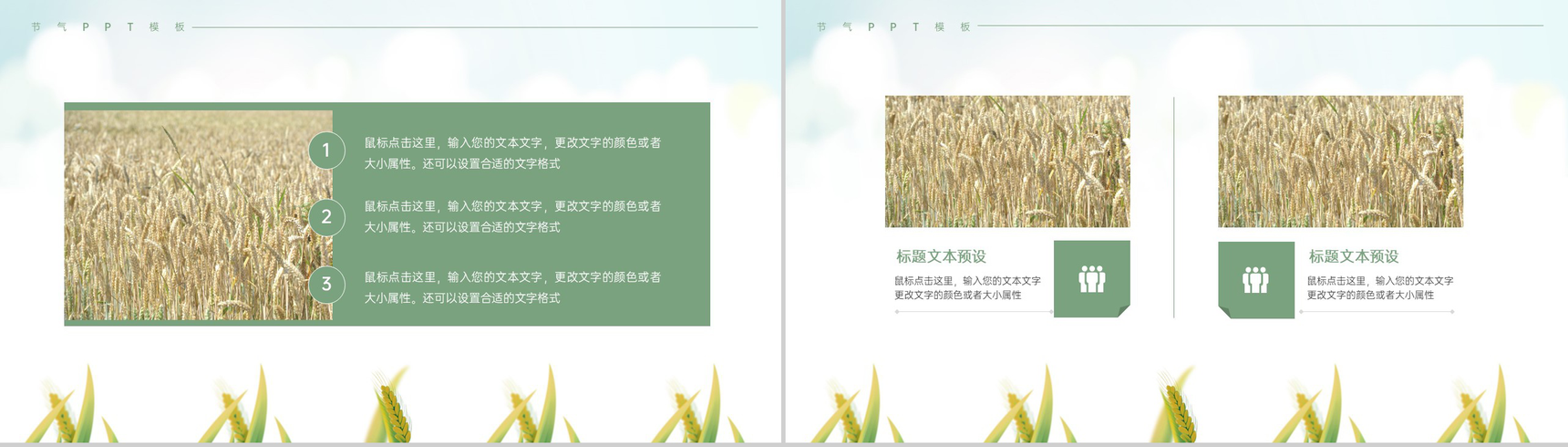 浅绿色简约风麦穗收获二十四节气夏至介绍由来PPT模板-5