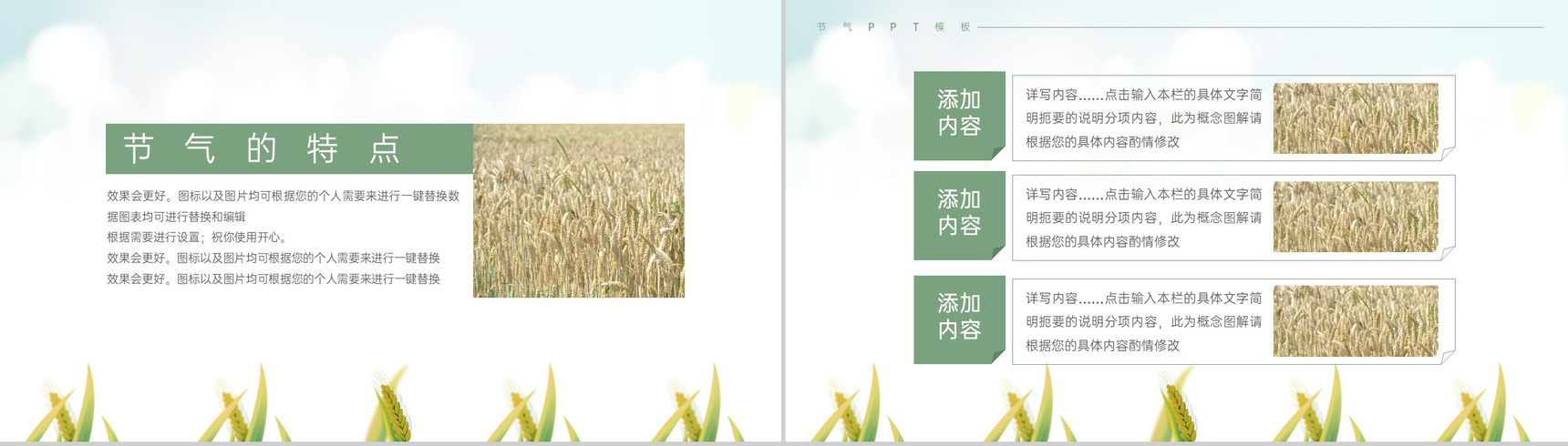 浅绿色简约风麦穗收获二十四节气夏至介绍由来PPT模板-4