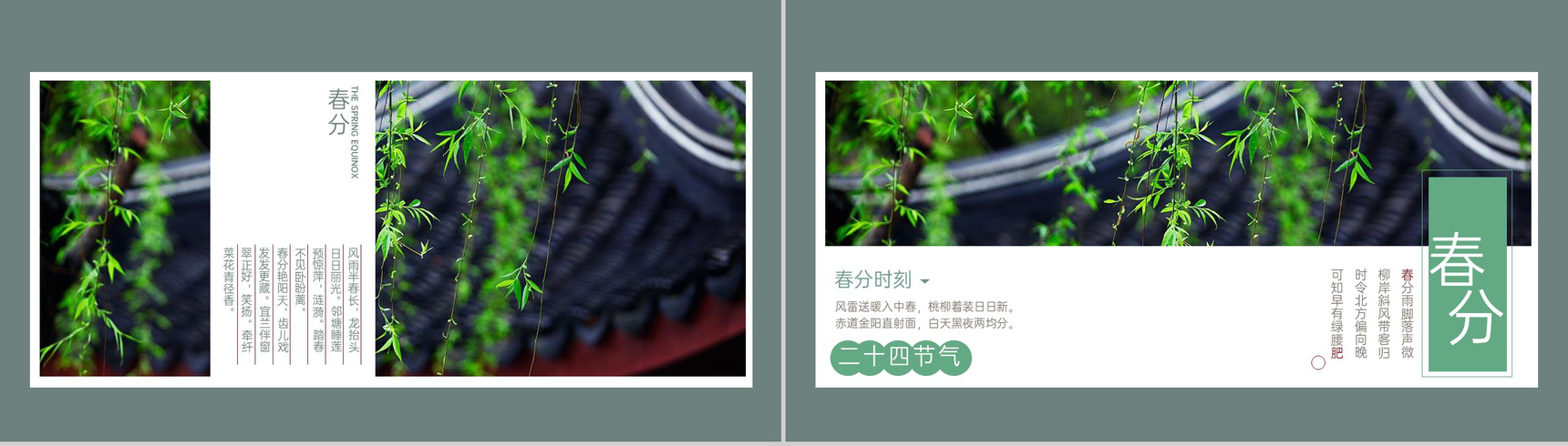 青色简约小清新二十四节气之春分介绍PPT模板-7