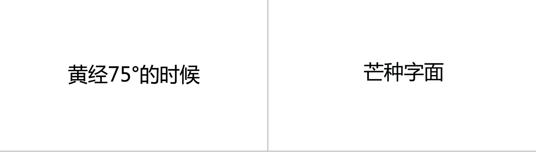 个性简约抖音快闪二十四节气芒种介绍PPT模板-5