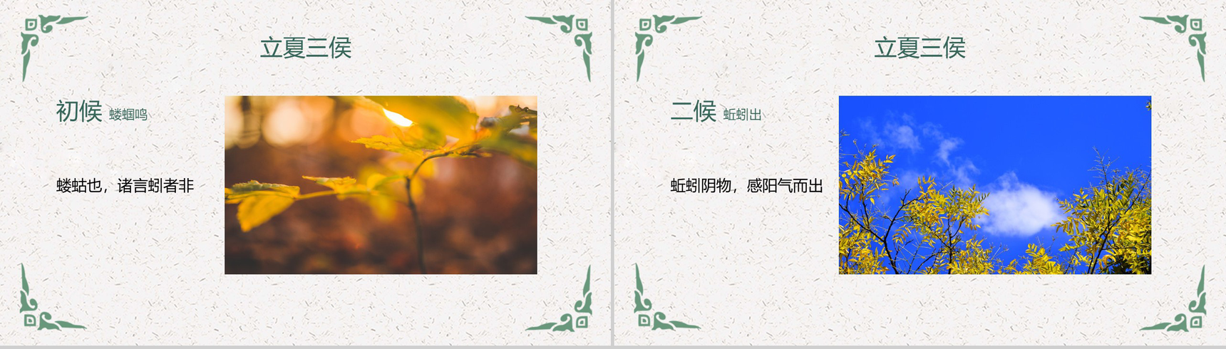 传统二十四节气清凉一夏立夏习俗介绍PPT模板-4