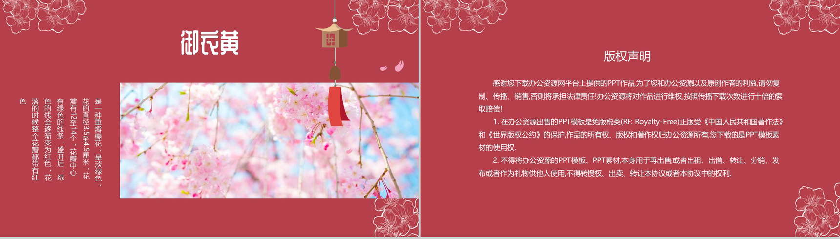 手绘风格醉美樱花PPT模板-10