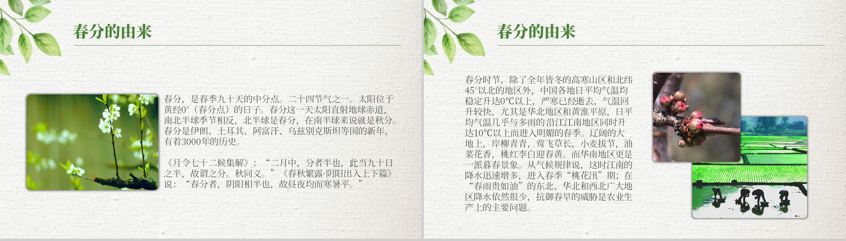 绿色清新简约春分节气材料收集PPT模板-3