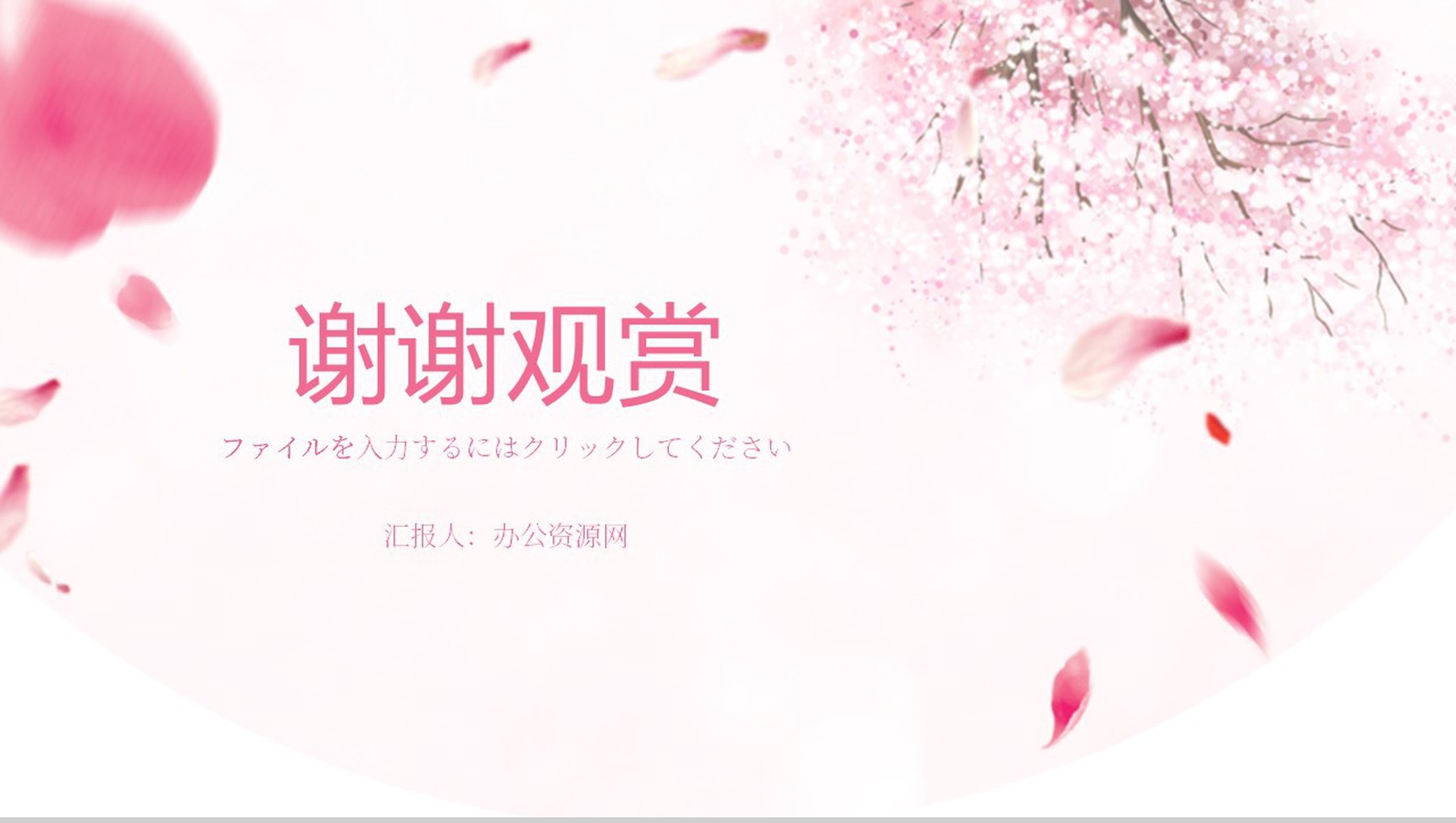 粉色清新淡雅日本樱花节樱花典故PPT模板-8