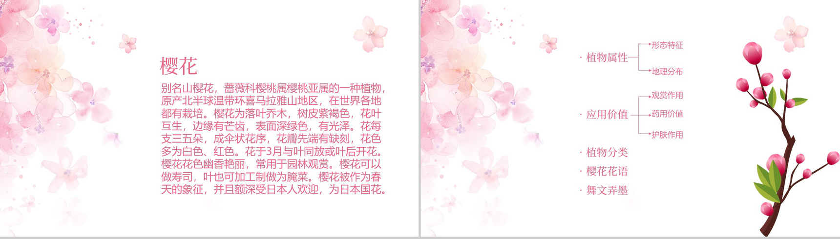 遇见樱花遇见最美的你樱花节主题PPT模板-2
