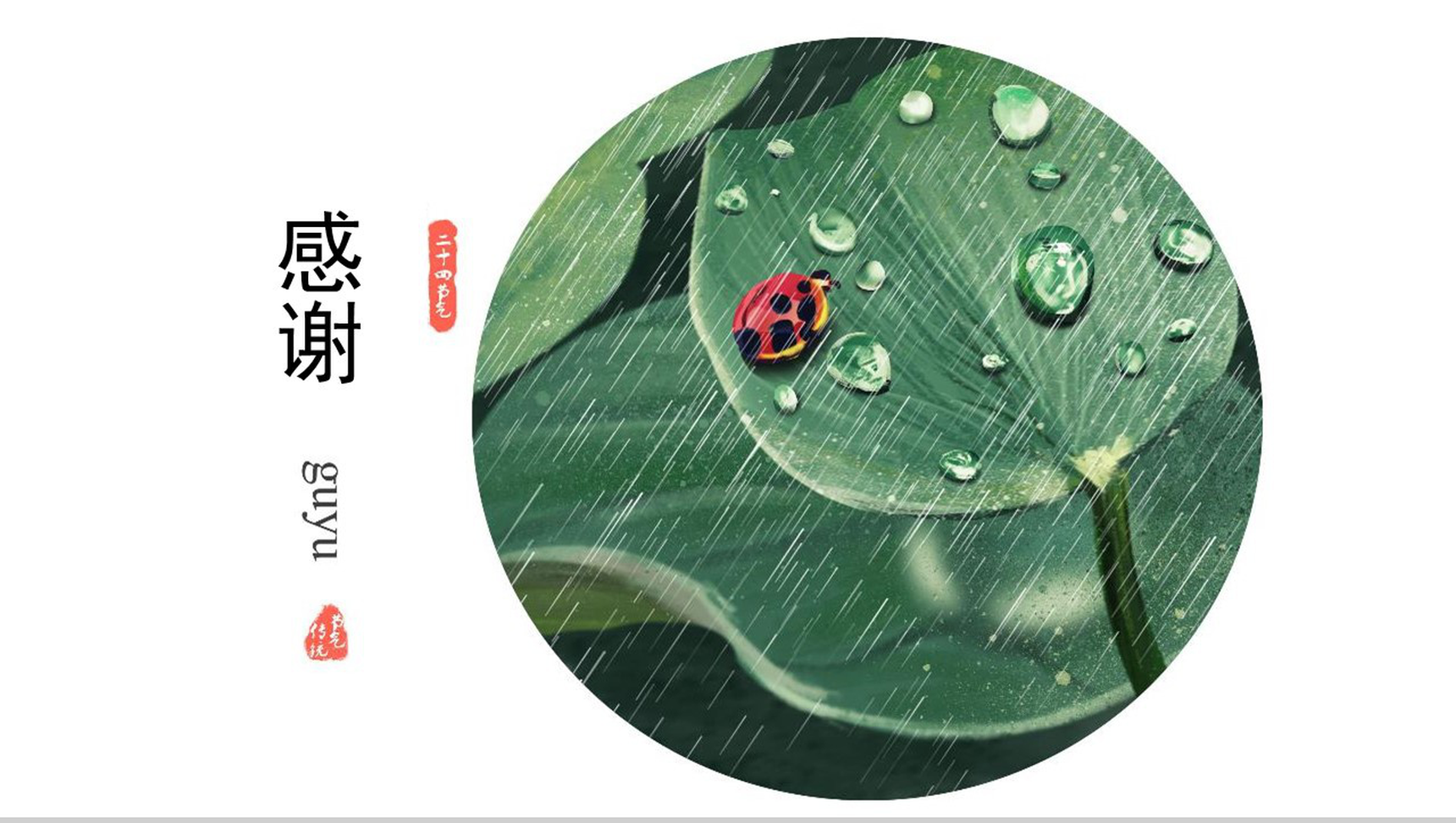 清新简洁动态二十四节气谷雨PPT模板-13