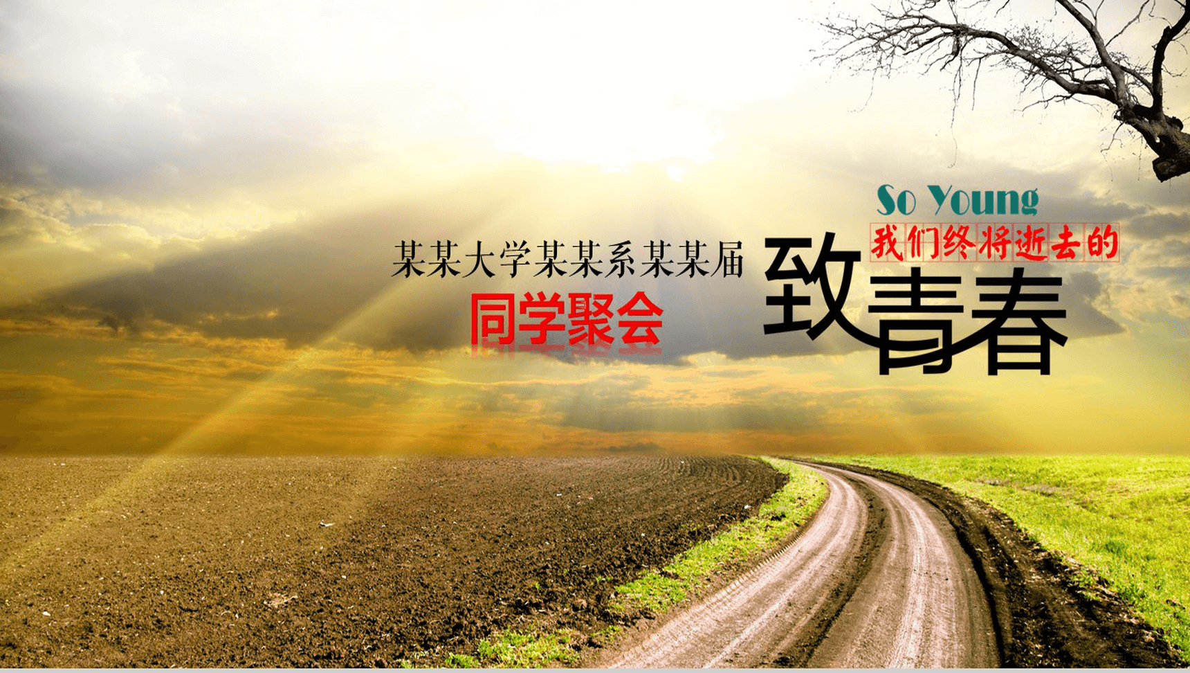 大气创意致青春简约毕业同学聚会PPT模板-1