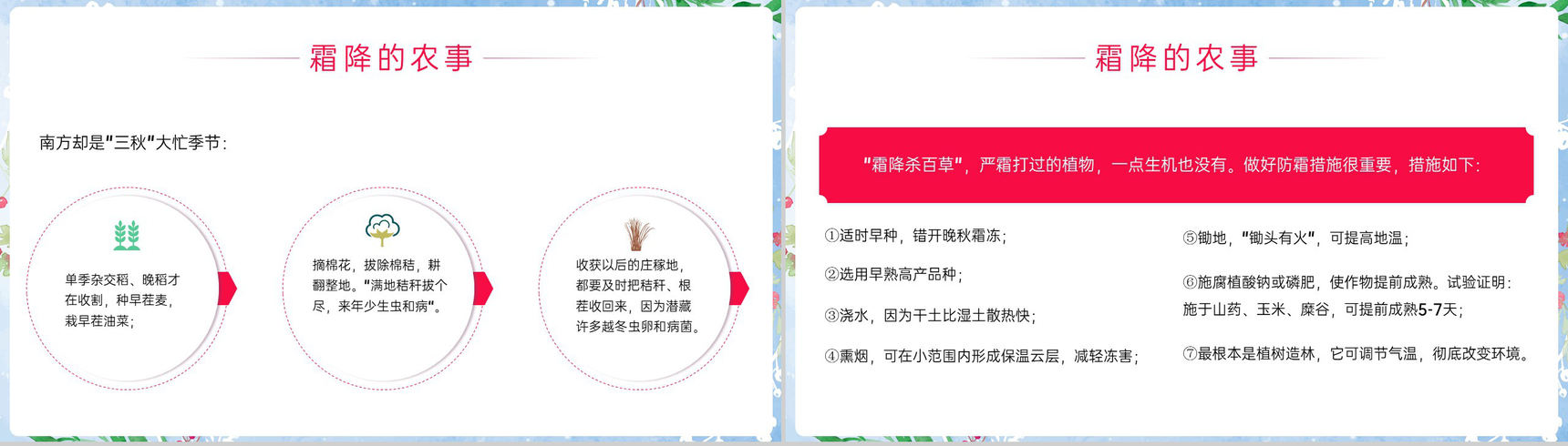 蓝色小清新传统二十四节气之霜降的三候介绍PPT模板-6