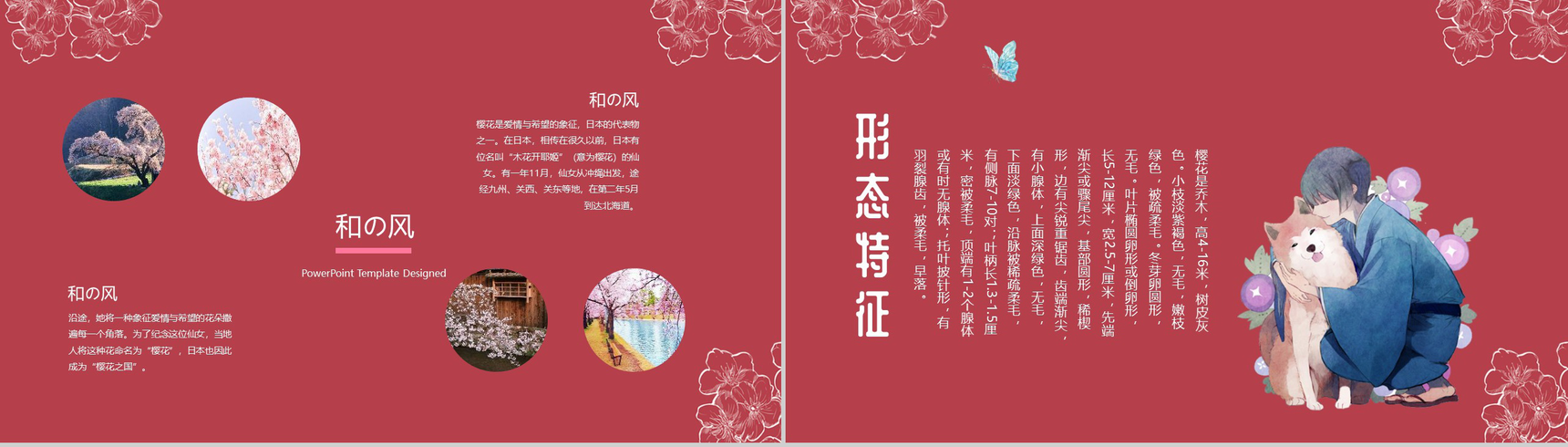 手绘风格醉美樱花PPT模板-4
