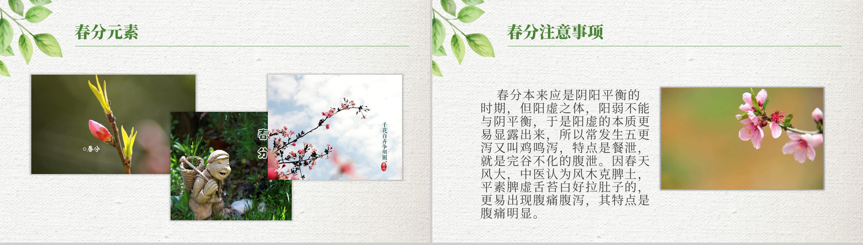 绿色清新简约春分节气材料收集PPT模板-9