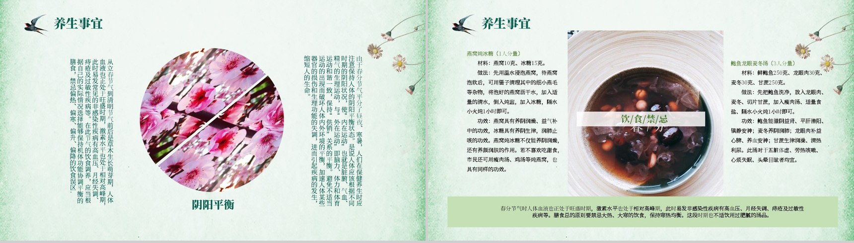 绿色清新简约二十四节气春分时节节日介绍PPT模板-5