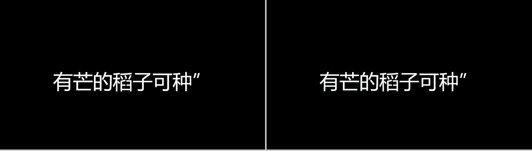 个性简约抖音快闪二十四节气芒种介绍PPT模板-7
