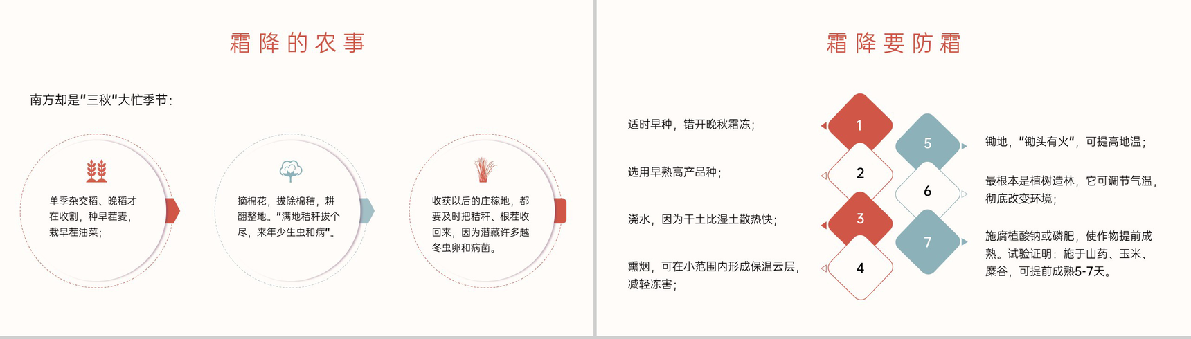 橙红小清新风二十四节气霜降介绍霜降的习俗PPT模板-6