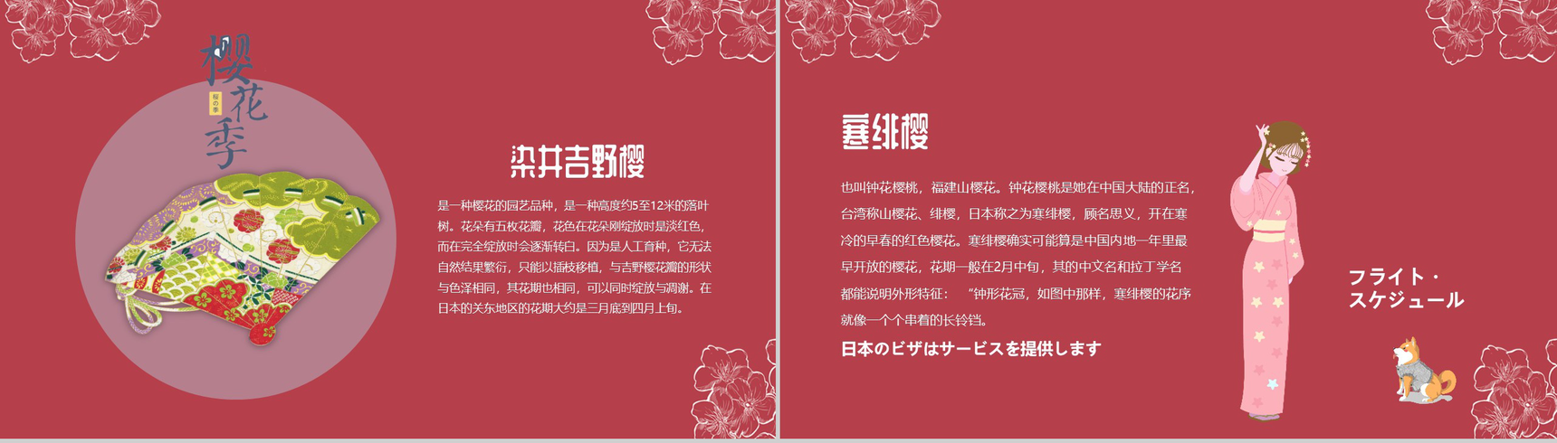 手绘风格醉美樱花PPT模板-7